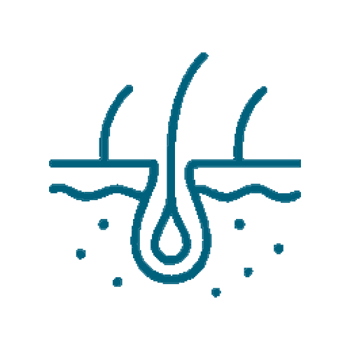 Մաշկաբանություն